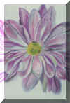 flower.jpg (363609 bytes)